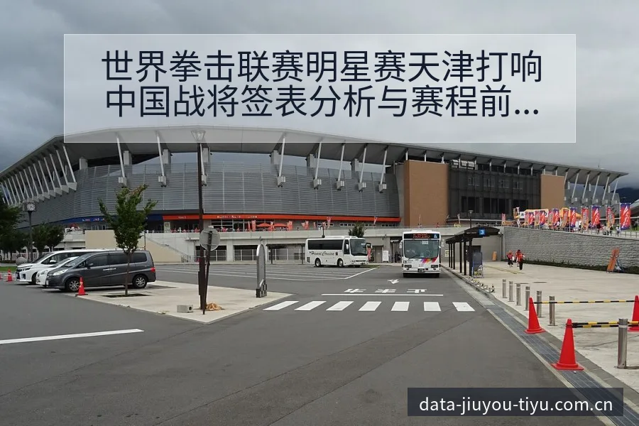 世界拳击联赛明星赛天津打响中国战将签表分析与赛程前瞻 - 九游
